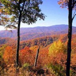 Great Smoky Mountains - Fall 2011